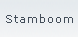Stamboom