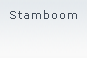 Familie stamboom